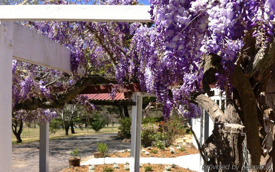 Moore Park Inn Armidale Exteriér fotografie