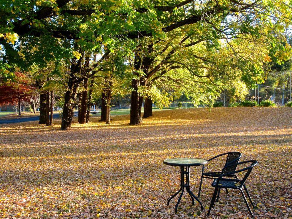 Moore Park Inn Armidale Exteriér fotografie