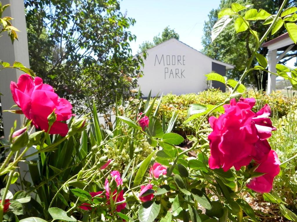 Moore Park Inn Armidale Exteriér fotografie